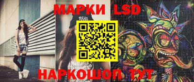 крисы Можга