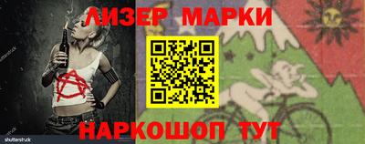 крисы Можга