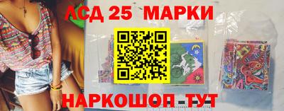 крисы Можга