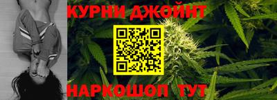 крисы Можга