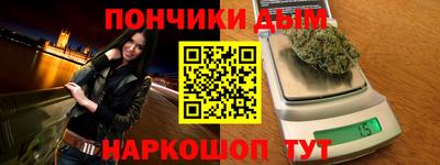 крисы Можга