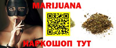 крисы Можга
