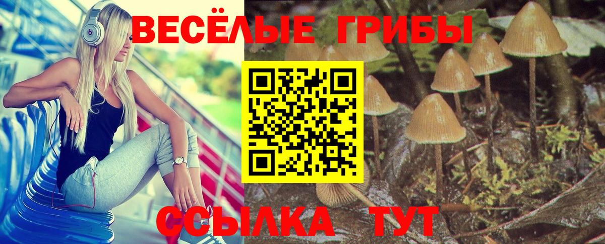 Галлюциногенные грибы ЛСД Ялта